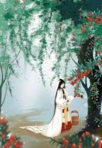 太子妃是朵黑莲花
