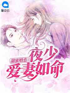 甜蜜婚恋：夜少爱妻如命