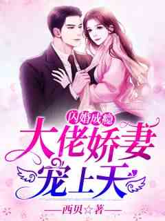 闪婚大佬宠娇妻
