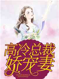 高冷总裁娇宠妻