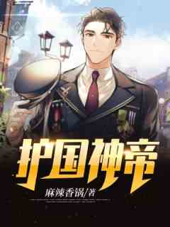 护国神帝