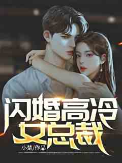 闪婚高冷女总裁