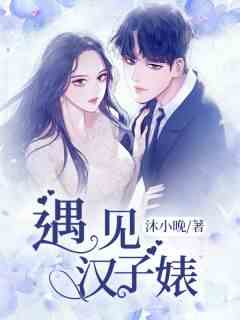 遇见汉子婊