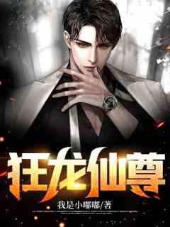 狂龙仙尊