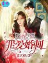 罪爱婚刺小说的书名是什么