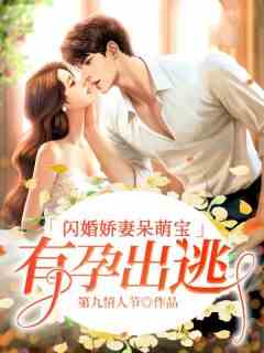 闪婚娇妻呆萌宝：有孕出逃