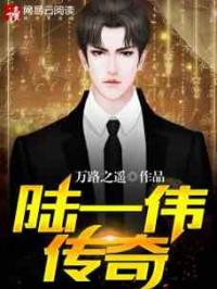 陆一伟传奇