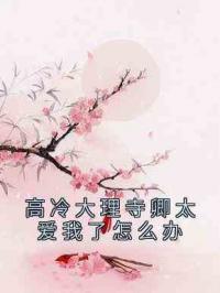 高冷大理寺卿太爱我了怎么办