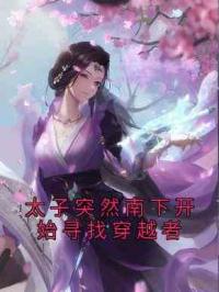 太子突然南下开始寻找穿越者