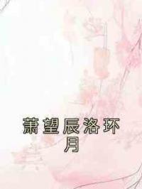 萧望辰洛环月