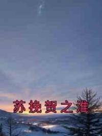 苏挽贺之淮