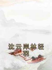 沈云岸林轻羽