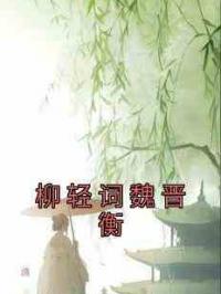 柳轻词魏晋衡