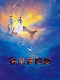 徐星薇陆晏