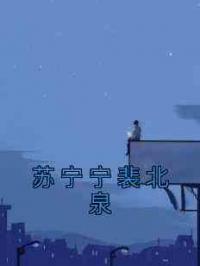 苏宁宁裴北泉