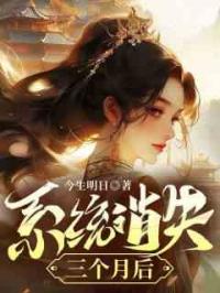 系统消失三个月后