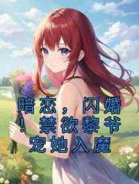 暗恋，闪婚！禁欲黎爷宠她入魔