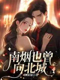 南烟也曾向北城