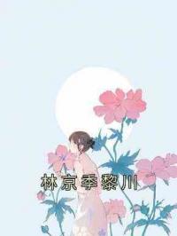 林京季黎川
