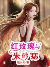 红玫瑰与朱砂痣