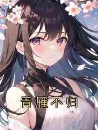 青雁不归