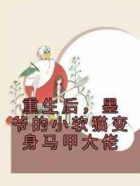 重生后，墨爷的小软猫变身马甲大佬