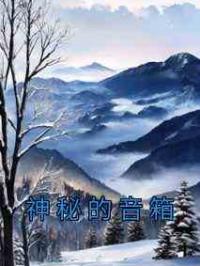 神秘的音箱