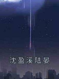 沈盈溪陆晏