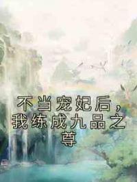不当宠妃后，我练成九品之尊