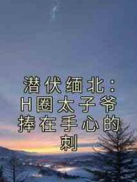 潜伏缅北：H圈太子爷捧在手心的刺
