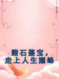 赌石鉴宝，走上人生巅峰