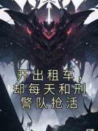 开出租车，却每天和刑警队抢活
