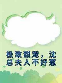 极致甜宠，沈总夫人不好惹