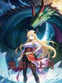 恰如心上月