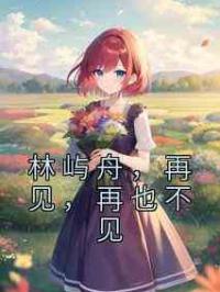 林屿舟，再见，再也不见