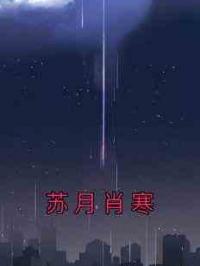 苏月肖寒