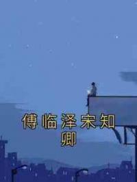 傅临泽宋知卿