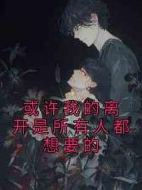 或许我的离开是所有人都想要的