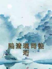 陆清璃司徒珩