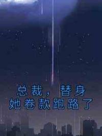 总裁，替身她卷款跑路了