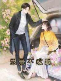 思景不成眠