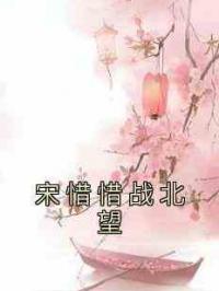 宋惜惜战北望