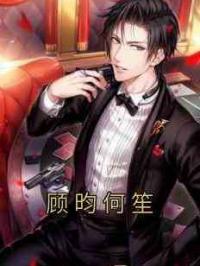 顾昀何笙