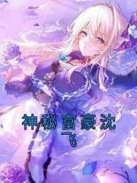神秘富豪沈飞