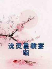 沈灵昙裴宴昭