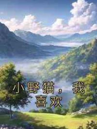 小野猫，我喜欢