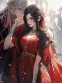 继妻二嫁