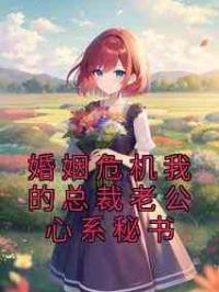 婚姻危机我的总裁老公心系秘书