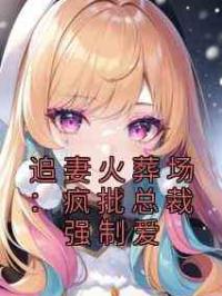 追妻火葬场：疯批总裁强制爱