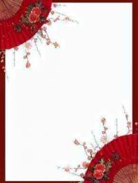 无脑宠爱